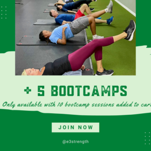 +5 Bootcamps